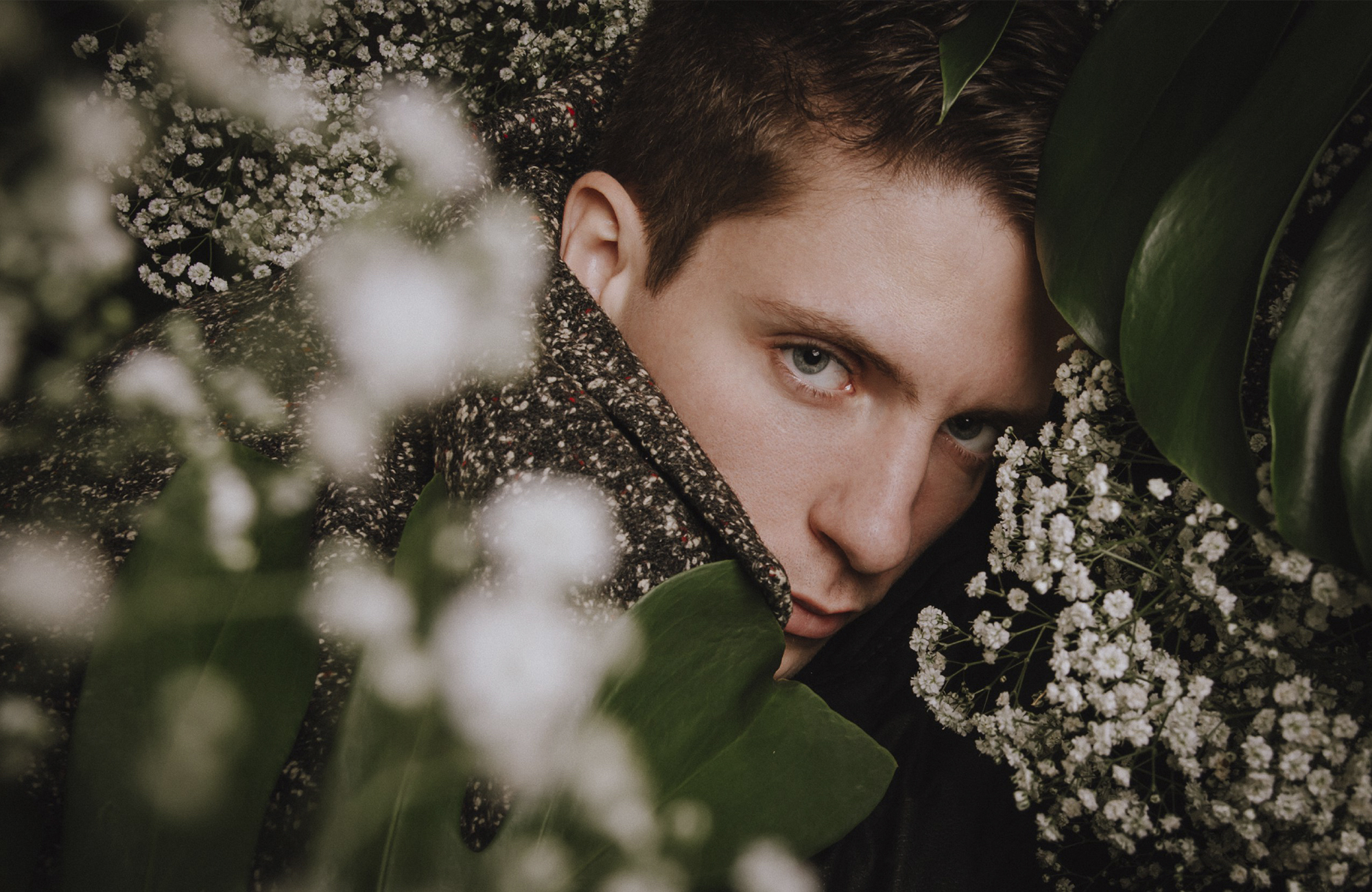 GYPSOPHILA