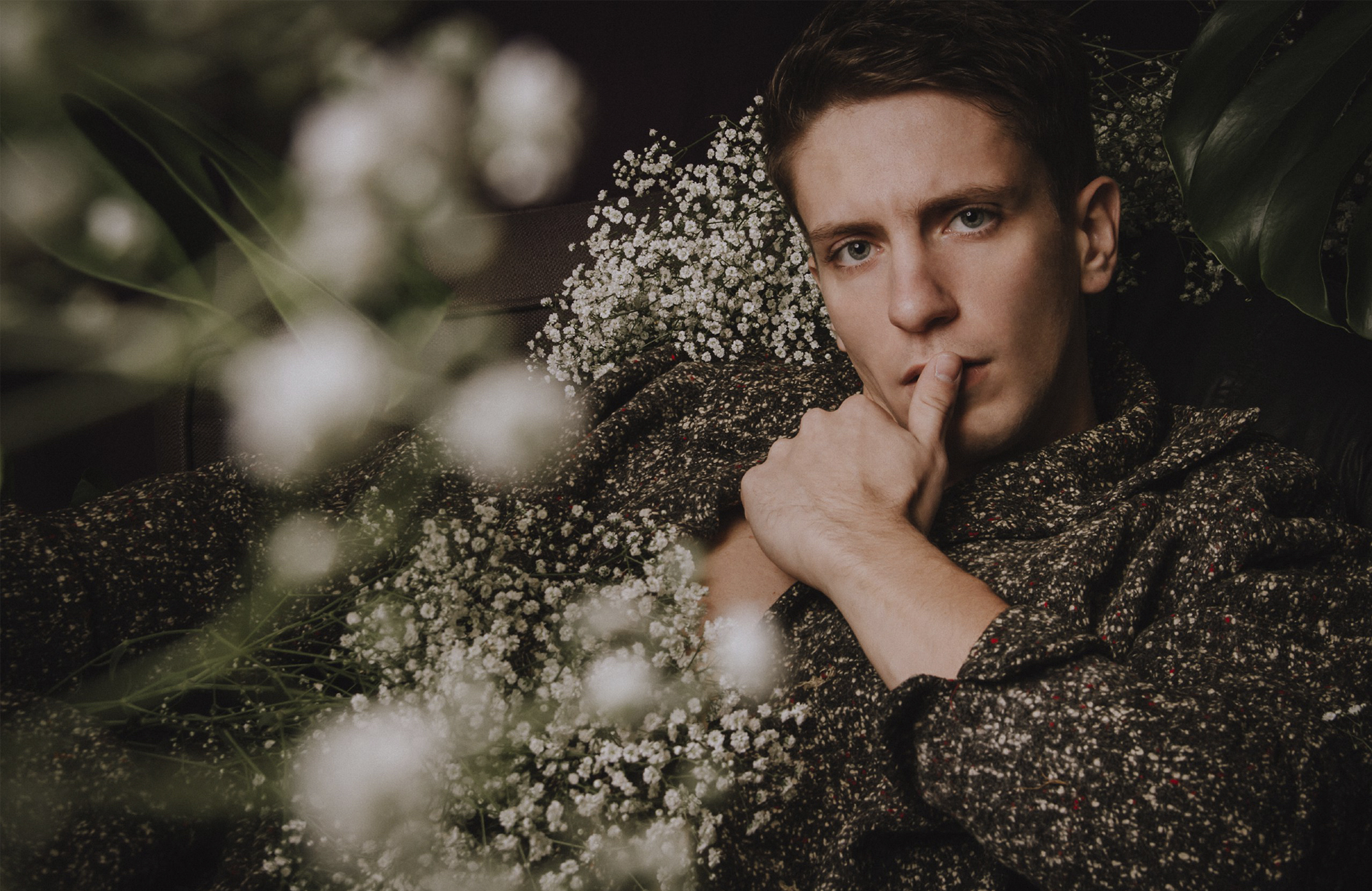 GYPSOPHILA — foto 2